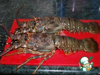 ������� ��� �������-��������� ������ �����������