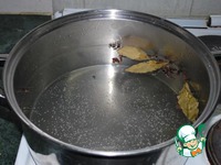 ������� ��� �������-��������� ������ �����������