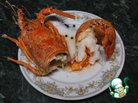 ������� ��� �������-��������� ������ �����������