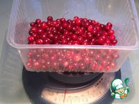 ���������� ���� �����������