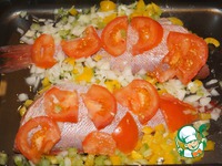 ������� �����, ���������� � ���������� �����������