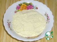 �����-�������� ����� � ������ �������� �����������