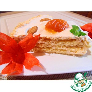 ���� "����������"