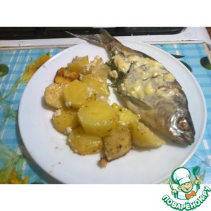 ���������� ������ ����