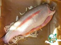 ������, ���������� �� ���� �����������