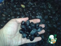 ������� ������ � ������-������� ������ �����������