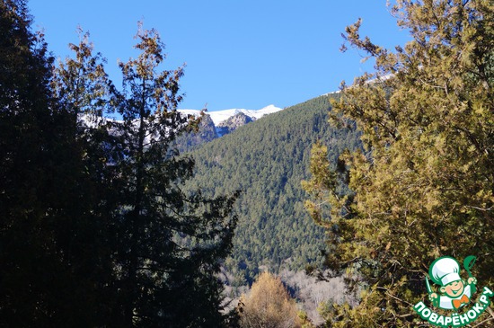 �������, ����� 2013