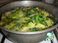 ������� "��������" �����������