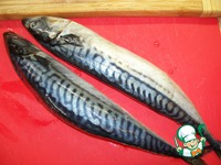 �������� � ������������ ������� �����������