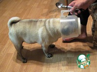 ����-���� �����������