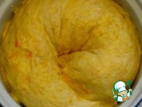 ��������-�������� ��������� �����������