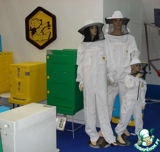 ��������� ���� 2013