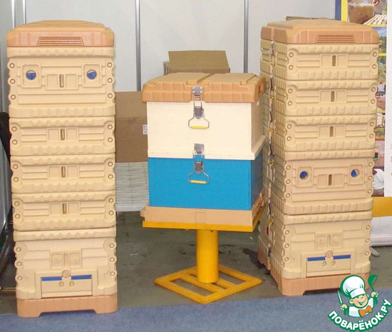 ��������� ���� 2013