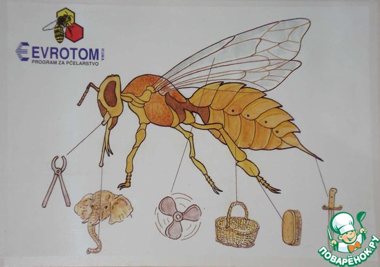 ��������� ���� 2013