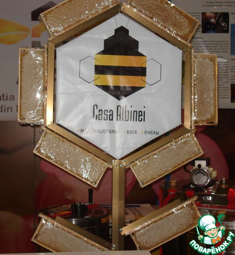 ��������� ���� 2013