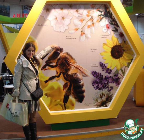 ��������� ���� 2013