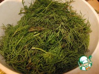 ����� ����� �����������