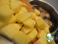 ������� � ������ ����������� ��� �����������