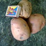 ��� ����� ������ ����