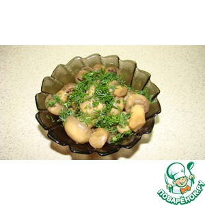 ������������ ����������