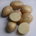 ����������� ���������