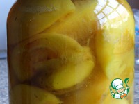 ������� � ������ �����������