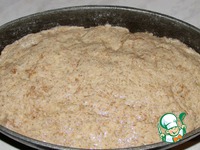 �����-��������� ���� � �������� �����������