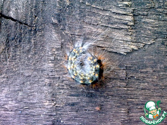 �������� ������