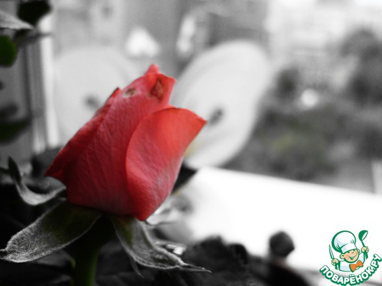 ��������� � �������������