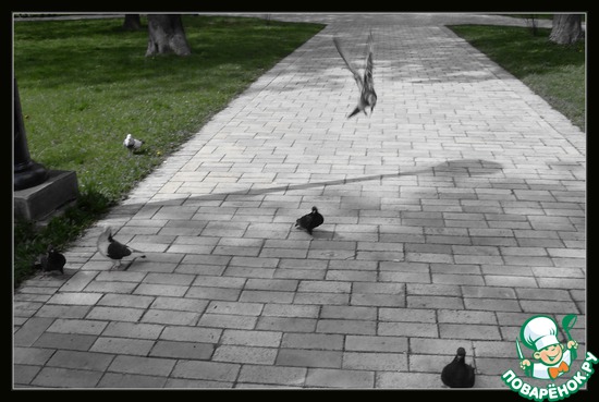 ��������� � �������������