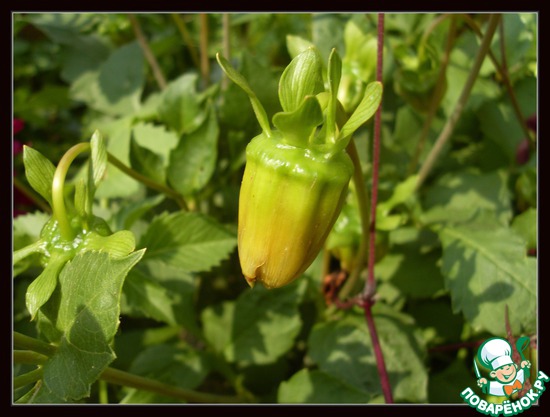 ��������� � �������������