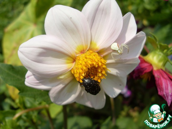 ���� � ���