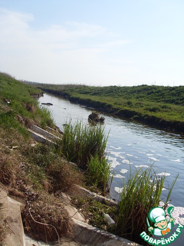 ��������� � �������������