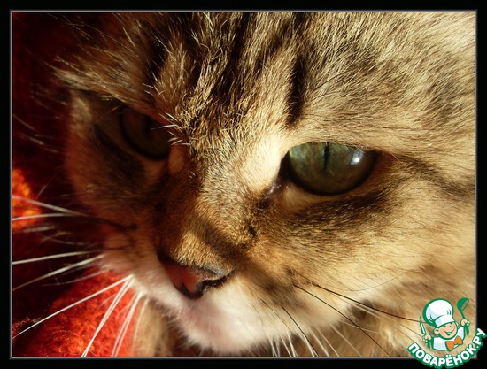 ��������� � �������������