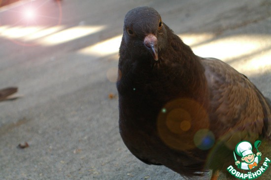 ��������� � �������������