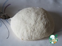 ������ ����� �� ���������� ����� "��������" �����������