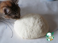 ������ ����� �� ���������� ����� "��������" �����������