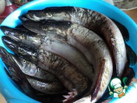 �� �� ���� �����������