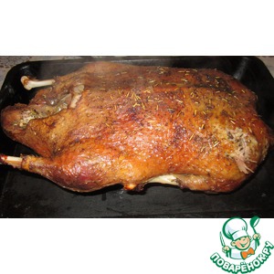 ���� � ������