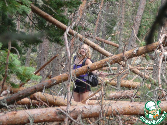 Уйдём!... к бесу на мыс!