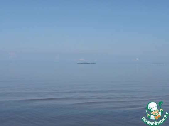 Уйдём!... к бесу на мыс!