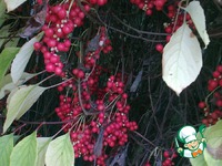 ������� �� ��������� �����������