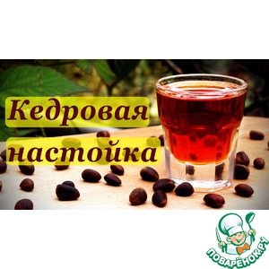 �������� �� �������� ������ "��������"