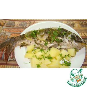 ���� �� ����