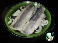 ������ �� ������-�������� ������� �����������