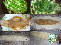 ���� � ����� �����������