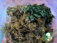 ����� "������ � �������" (�� ����) �����������