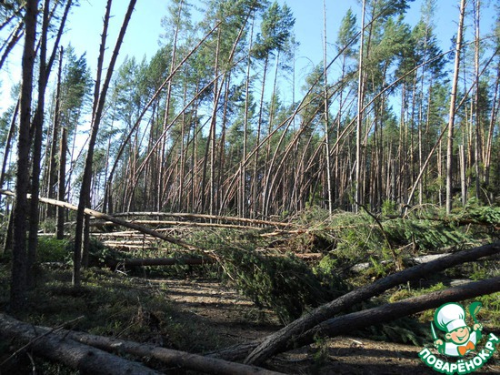 Уйдём!... к бесу на мыс!