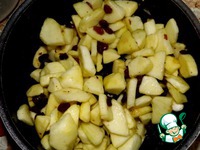 ����, ������������� ��������, ������ � ���� �����������