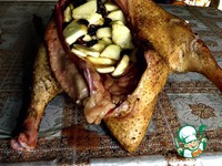 ����, ������������� ��������, ������ � ���� �����������